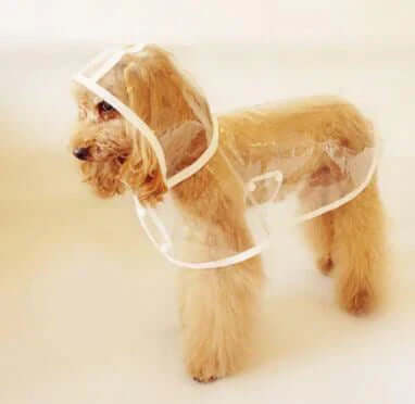 Wasserdichte Hundejacke Transparent