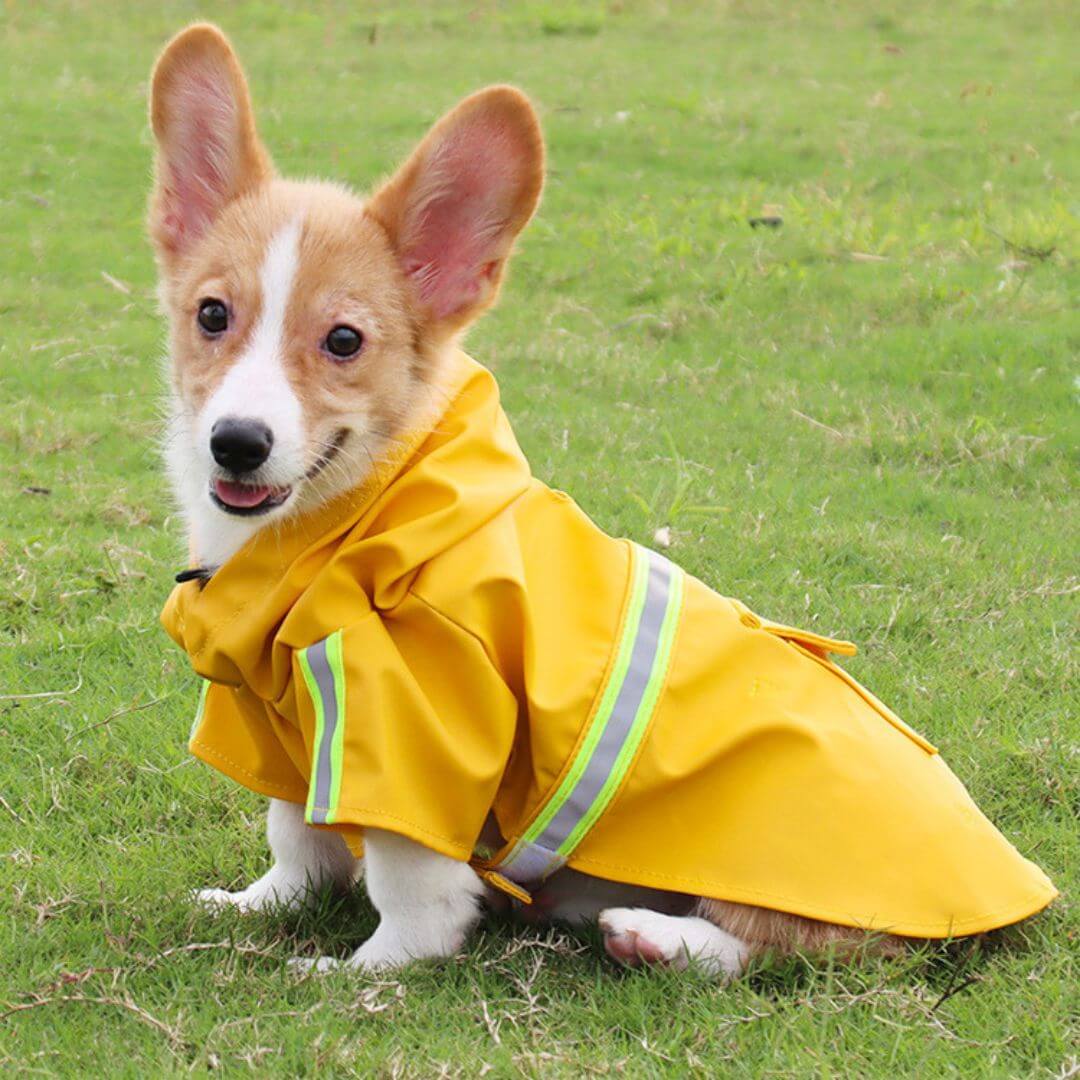 Wasserdichte Hundejacke für alle Wetter