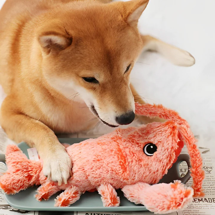 Interactive floppy lobster dog toy, perfect for playful pets & stress relief. Durable chew toy for pet health.