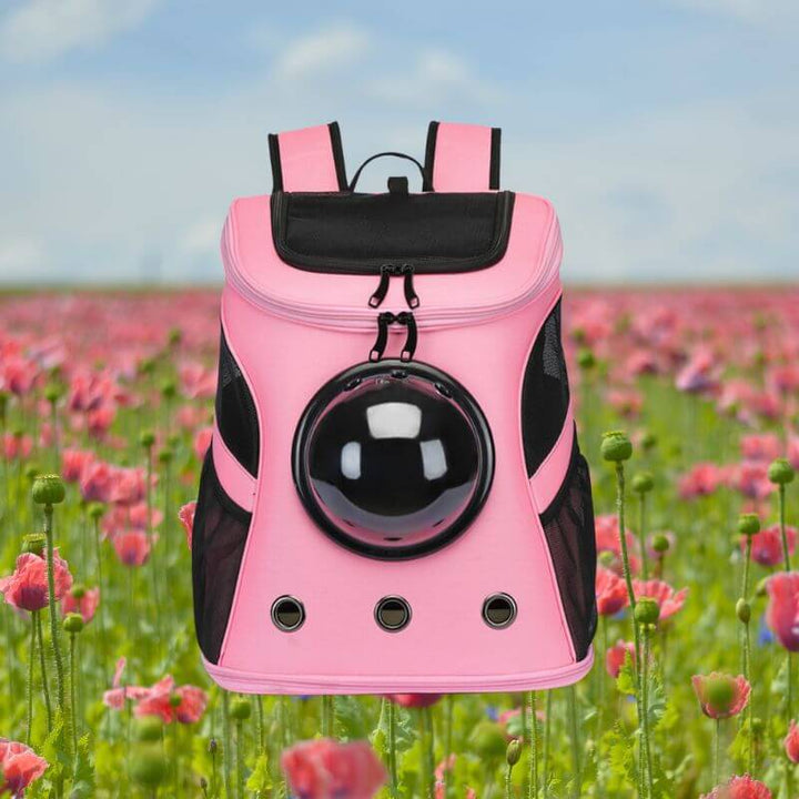 Katzen Transporttasche Reisefreundlich & Faltbar