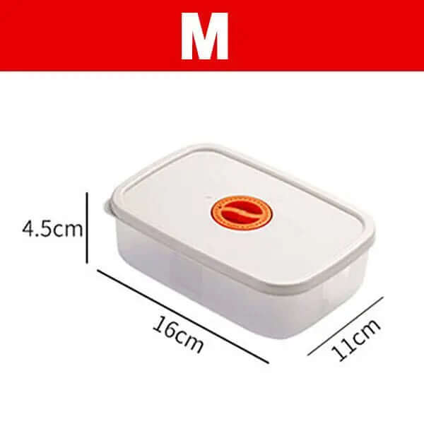 Mehrfächer Bento Box - Nachhaltige Lunchbox