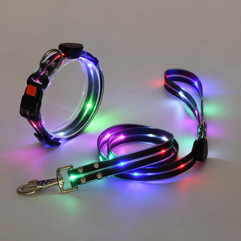 LED Hundehalsband mit Leine - Sicher & Sichtbar