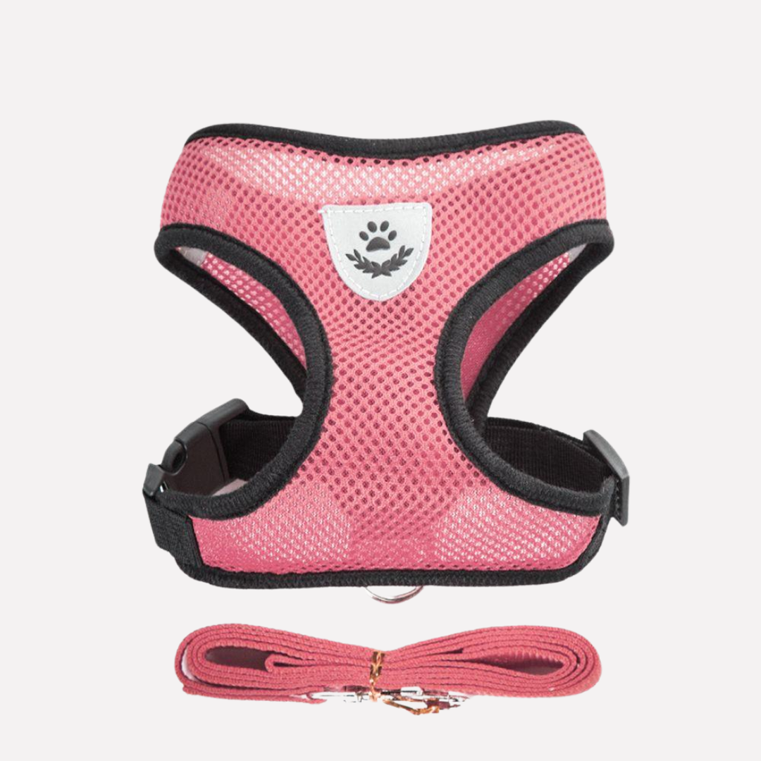 Comfort Pet's breathable mesh harness set with leash, ideal for daily walks.