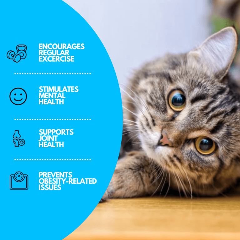 Interaktive Wasserspielmatte für Katzen