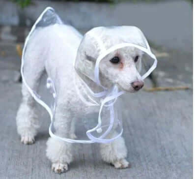 Wasserdichte Hundejacke Transparent