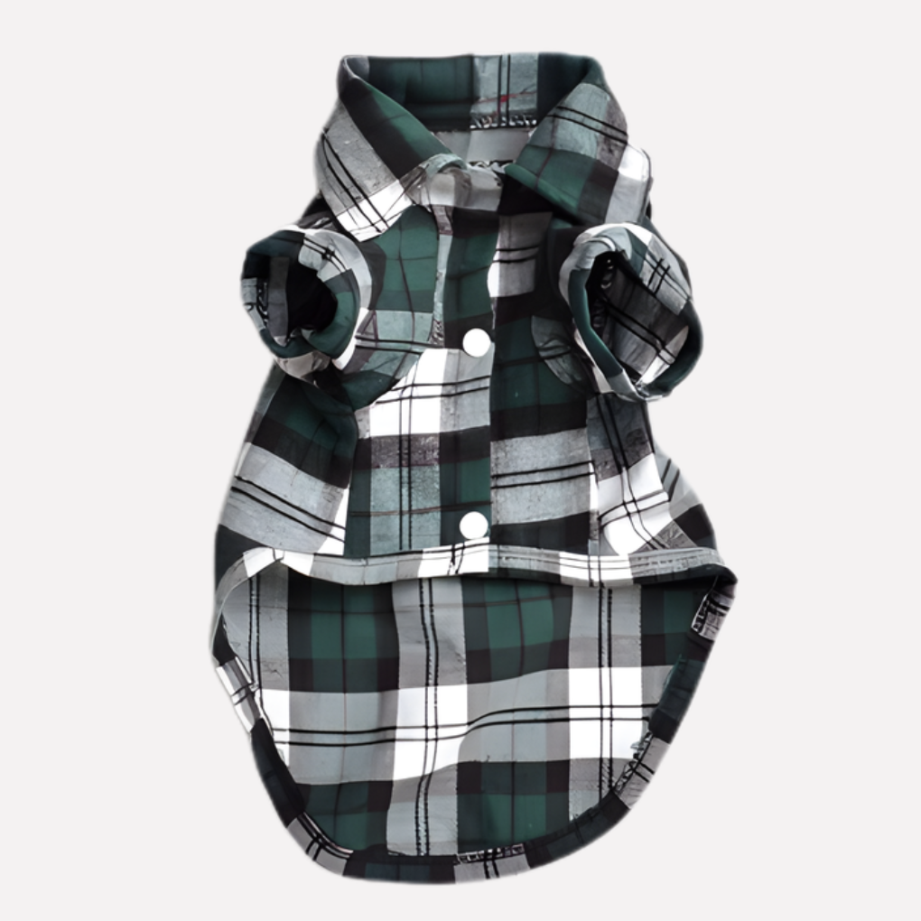 Classic plaid dog shirt, an elegant pet apparel option for stylish small and medium canine companions. Button-down design.