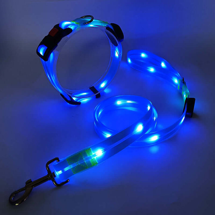 LED Hundehalsband mit Leine - Sicher & Sichtbar