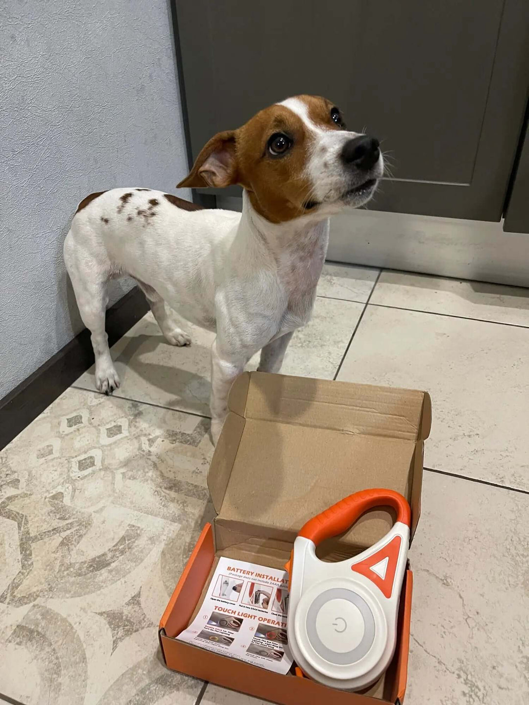 LED Hundeleine mit Taschenlampe, 5m, Leucht-Leine