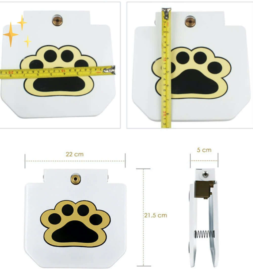 Interaktives Hundespielzeug Wasserfontäne