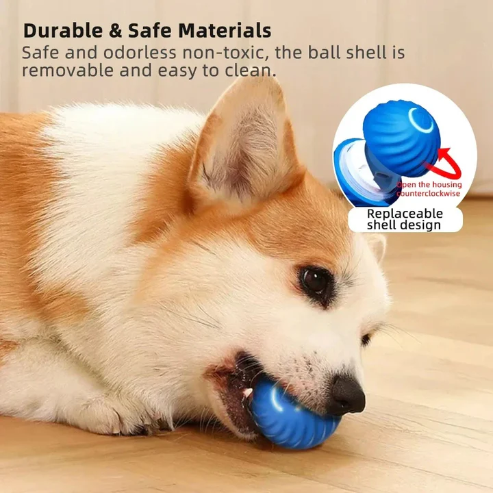 Interactive self-moving dog toy ball for active dogs, promoting pet exercise & mental stimulation.