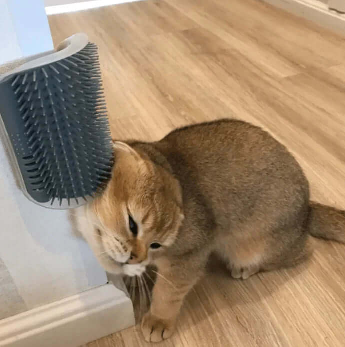 Katzen-Selbstpflegebürste für die Ecke
