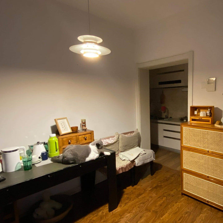 Moderne Metall-Pendelleuchte