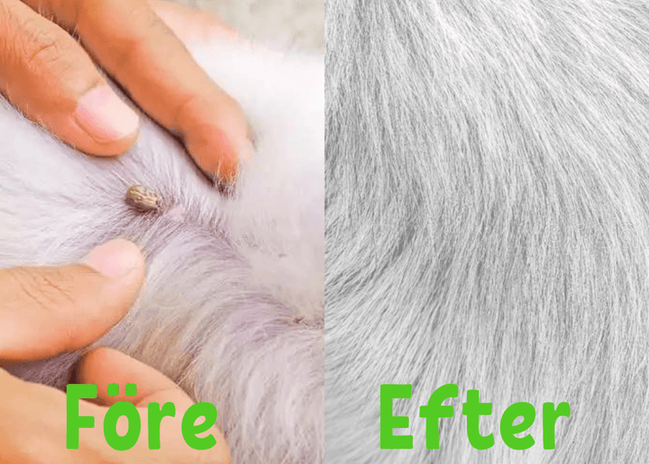 Floh- und Zeckenhalsband für Hunde & Katzen