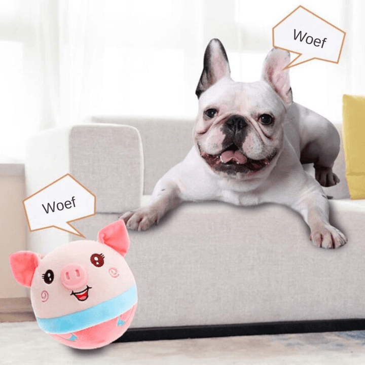 Interaktives Hundespielzeug - Bewegung & Spaß