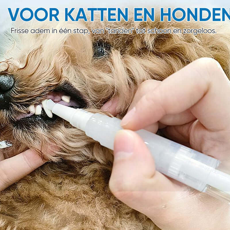 Haustier Zahnpflege Stift für Hunde & Katzen