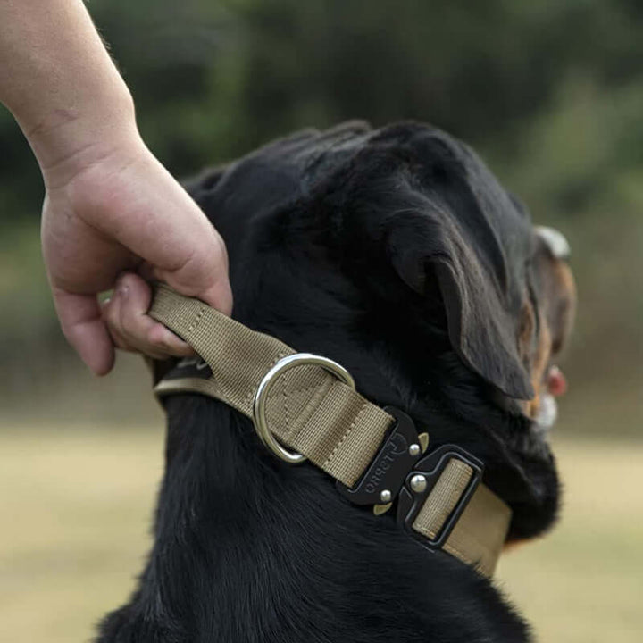 Taktisches Hundehalsband mit Griff - Robust & Sicher