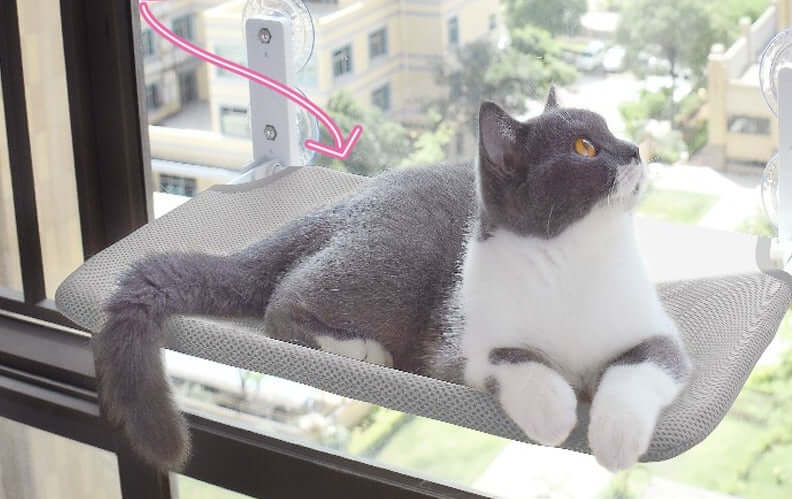 Wandhängematte für Katzen - Panoramablick