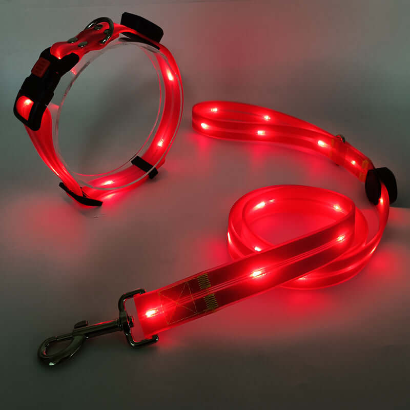 LED Hundehalsband mit Leine - Sicher & Sichtbar
