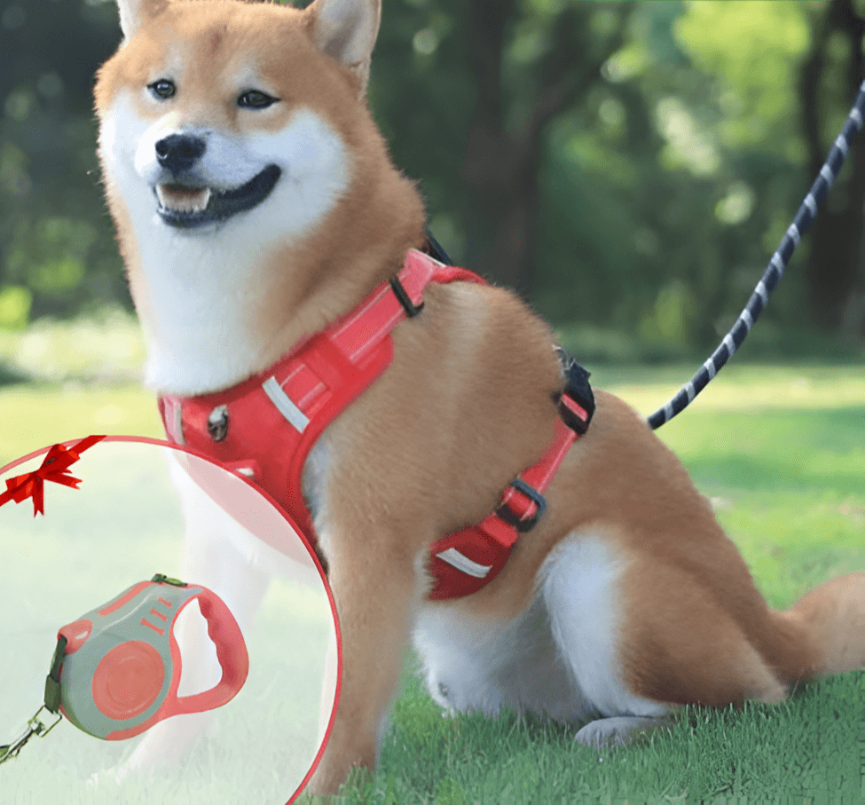 Anti-Ziehgeschirr für Hunde Komfort & Sicherheit