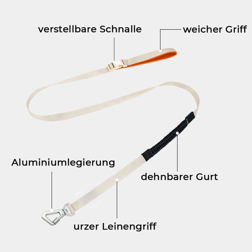 AquaCool Hundegeschirr & Leine Set - Anti-Zieh & Wasserdicht