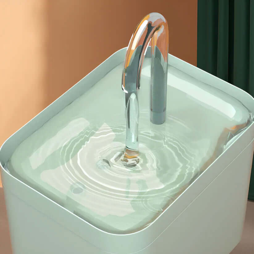 Automatischer Trinkbrunnen für Katzen