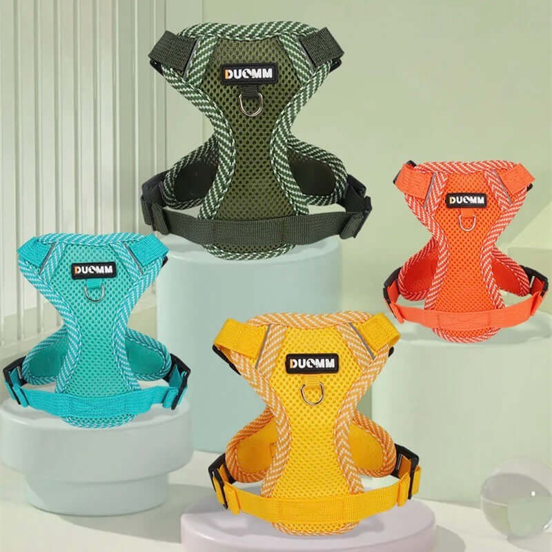 Reflektierendes Hundegeschirr & Leine Set