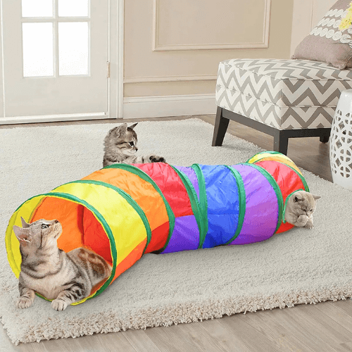 Spieltunnel für Katzen, Regenbogen-Tunnel, faltbar