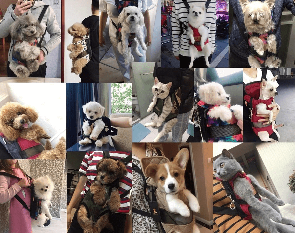 Atmungsaktives Haustier Tragetuch