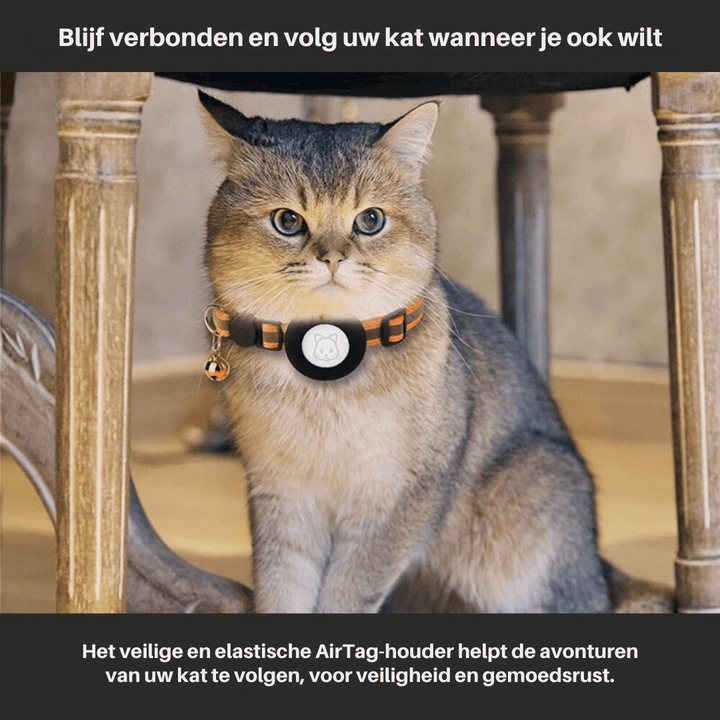 Katzenhalsband mit Sicherheitsverschluss & GPS-Tracker Halterung