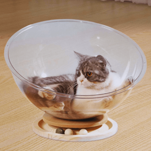 Katzenhöhle mit Spielzeug - Kuschelhöhle Spielpod