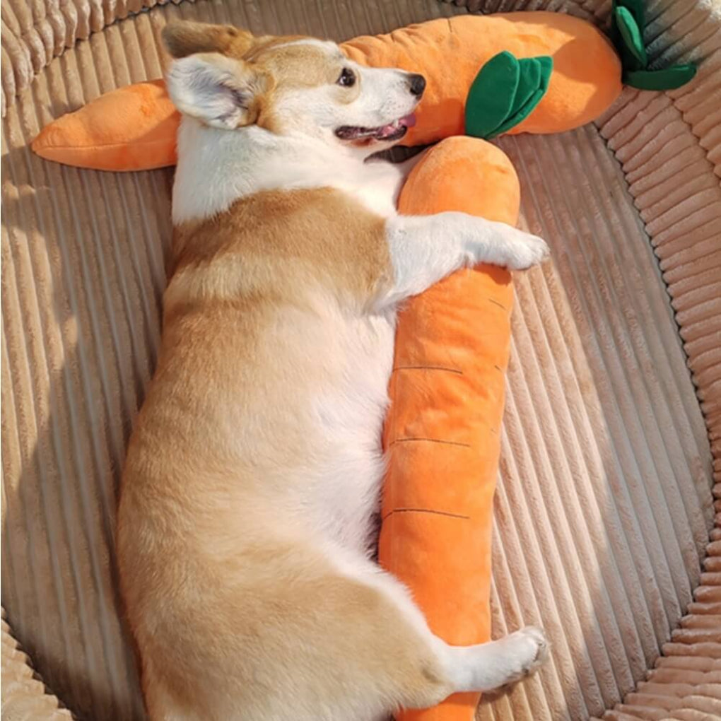 Bright orange plush carrot dog toy with green top, includes a squeaker & crinkle paper for interactive puppy playtime.