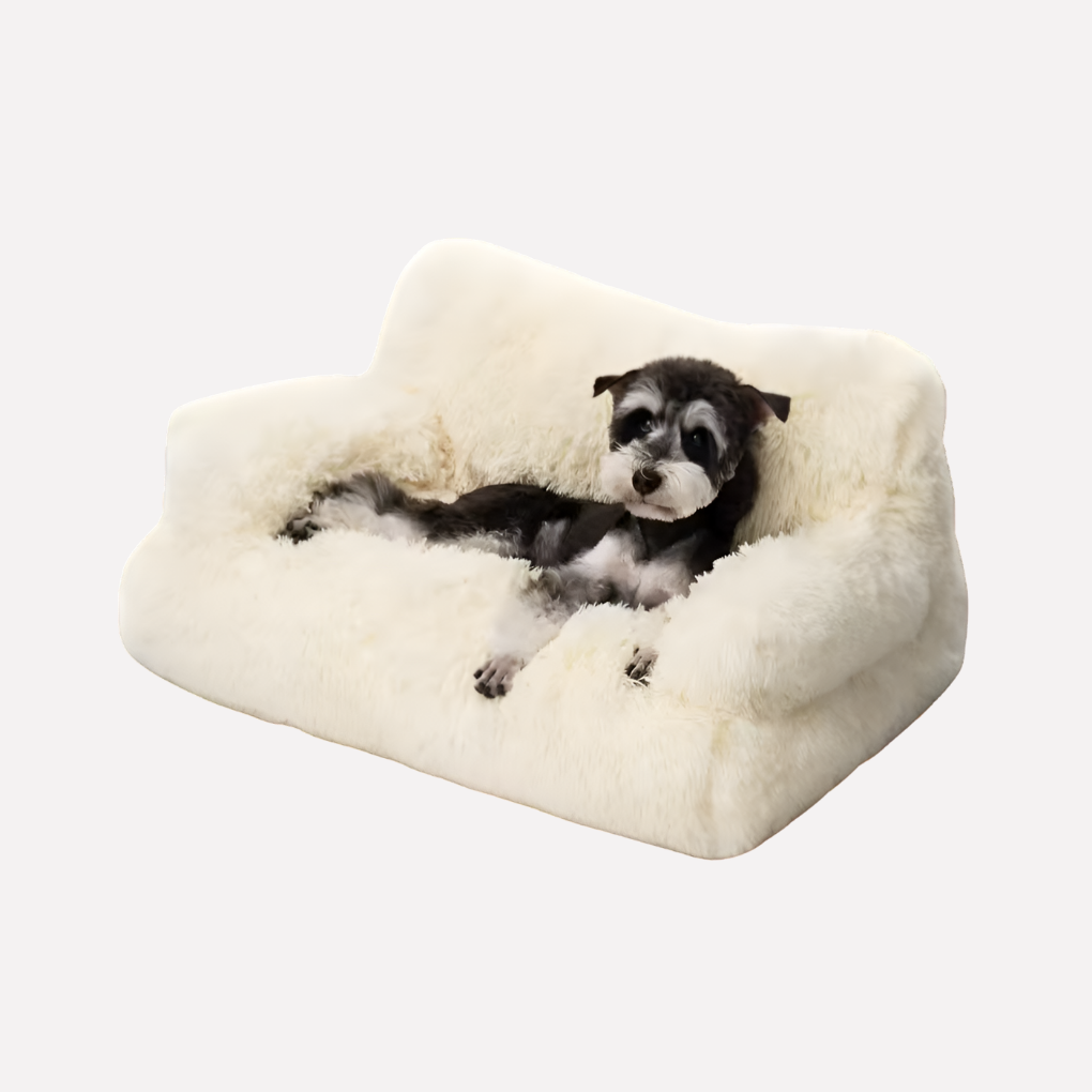 Elevated pet bed bench for small dogs & cats, offering cozy, washable comfort.