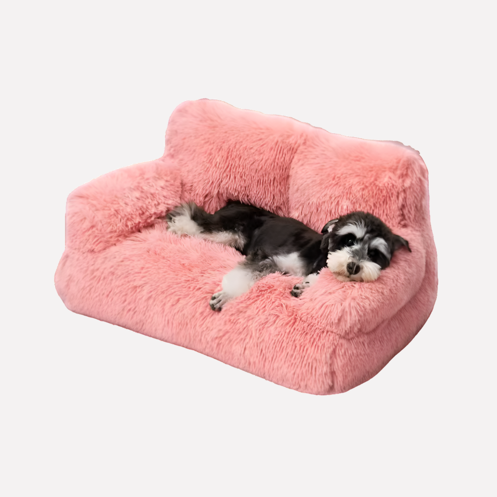 Durable elevated pet furniture bench for small dogs and cats with a washable, cozy design.