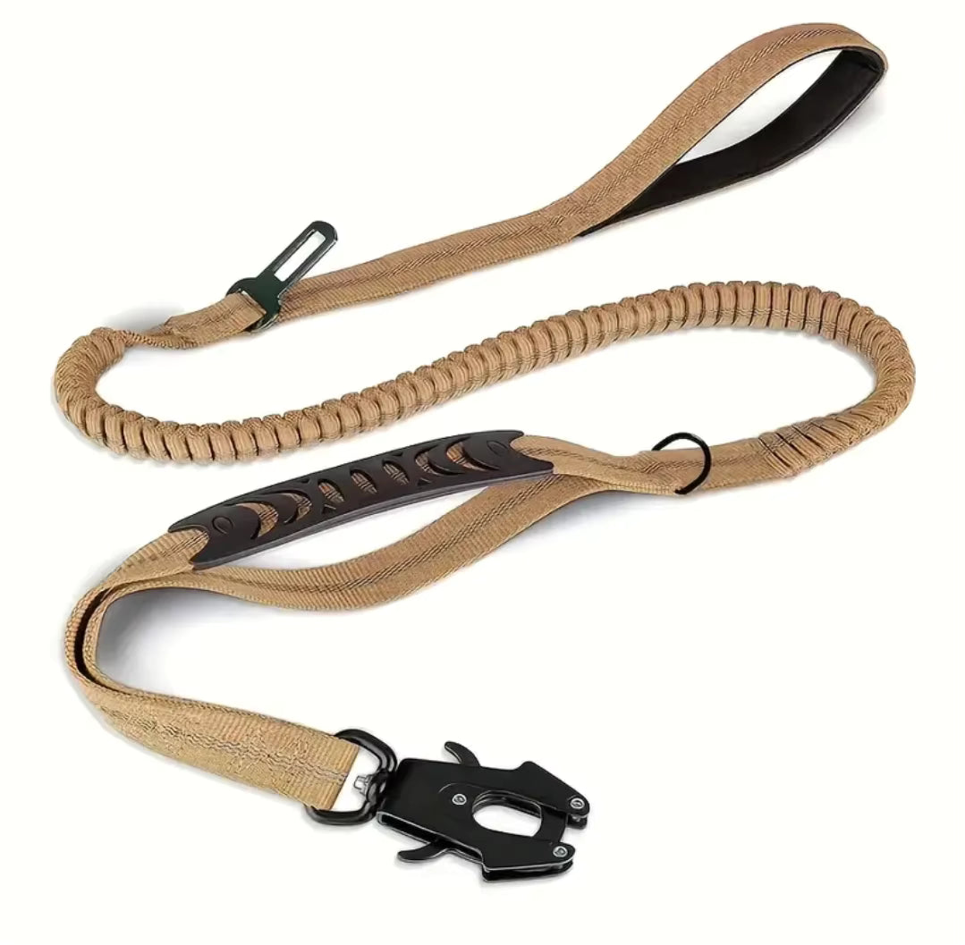 Elastic Reflective Bungee Dog Leash for Active Pets