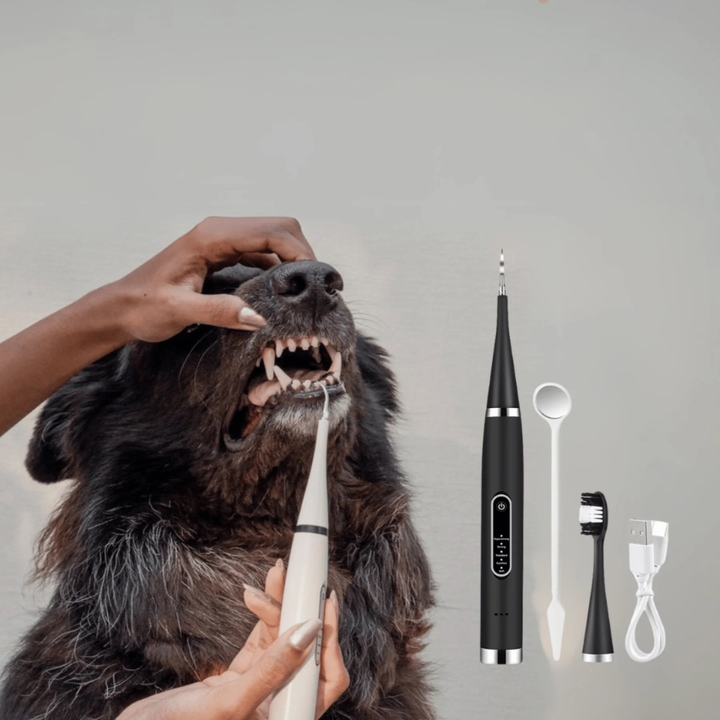 Dog & cat paw cleaner with soft silicone bristles, ideal for gentle grooming and removing mud & dirt effectively.