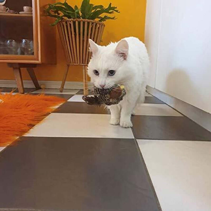 Interaktives Katzenspielzeug Vogel mit Geräuschen