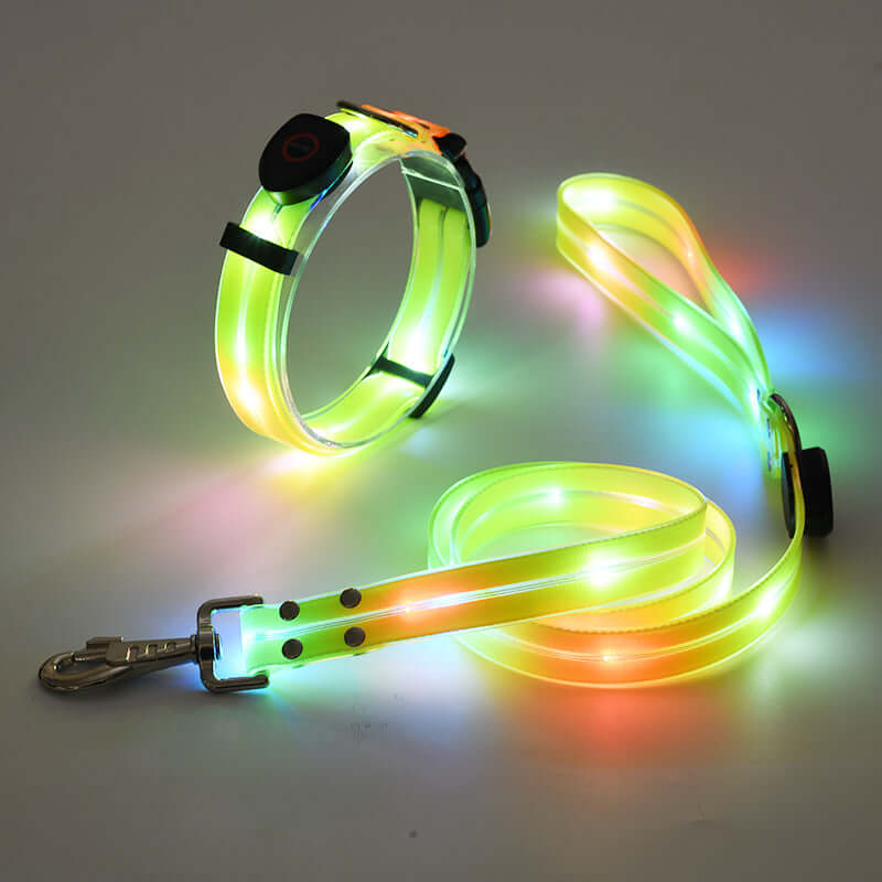 LED Hundehalsband mit Leine - Sicher & Sichtbar