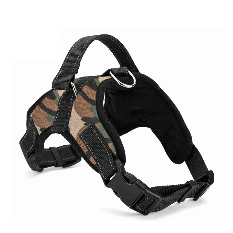 Puppy harness, adjustable to ensure a secure fit, featuring reflective safety stitching.