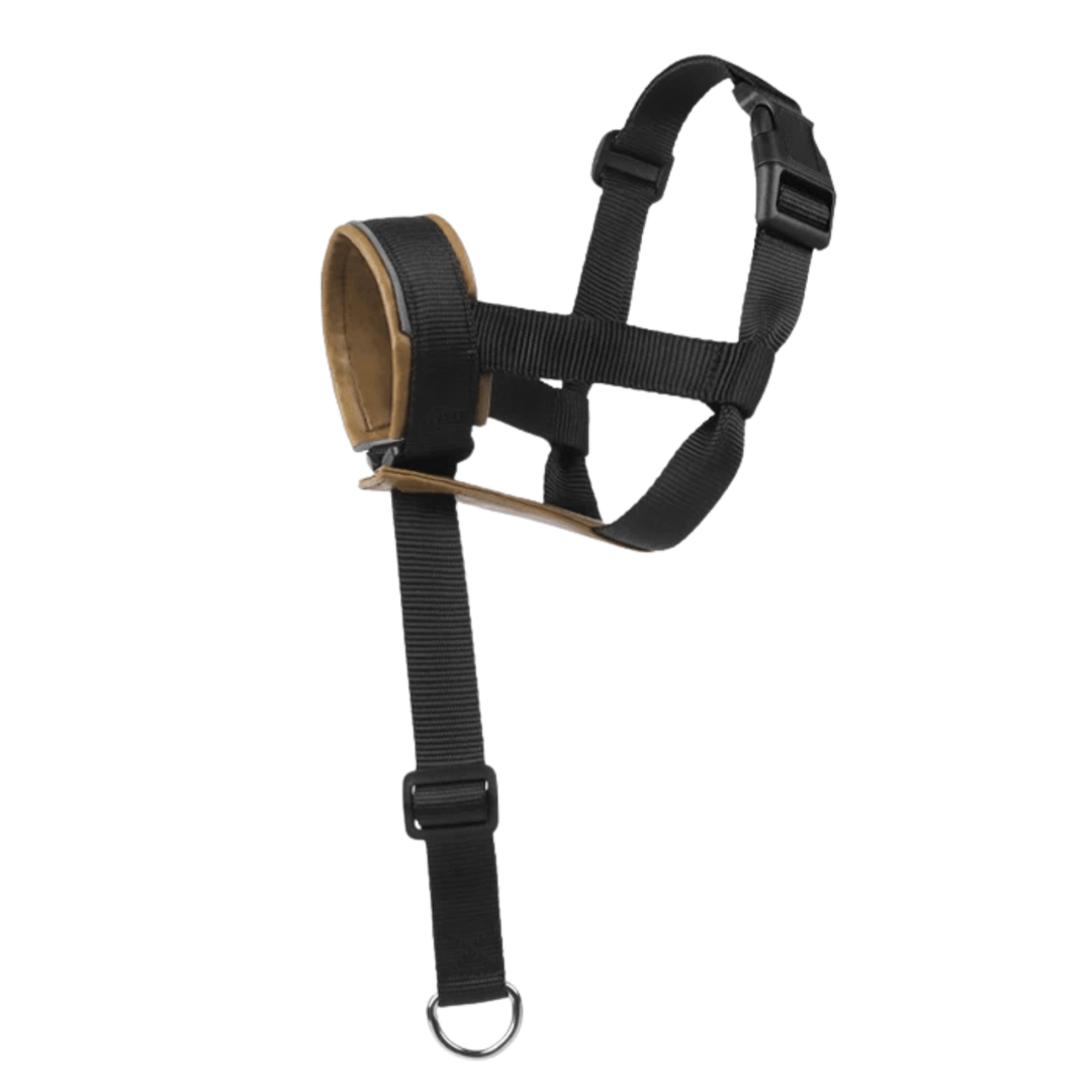 Reflective adjustable leather dog muzzle for safe night walking and effective pet training.