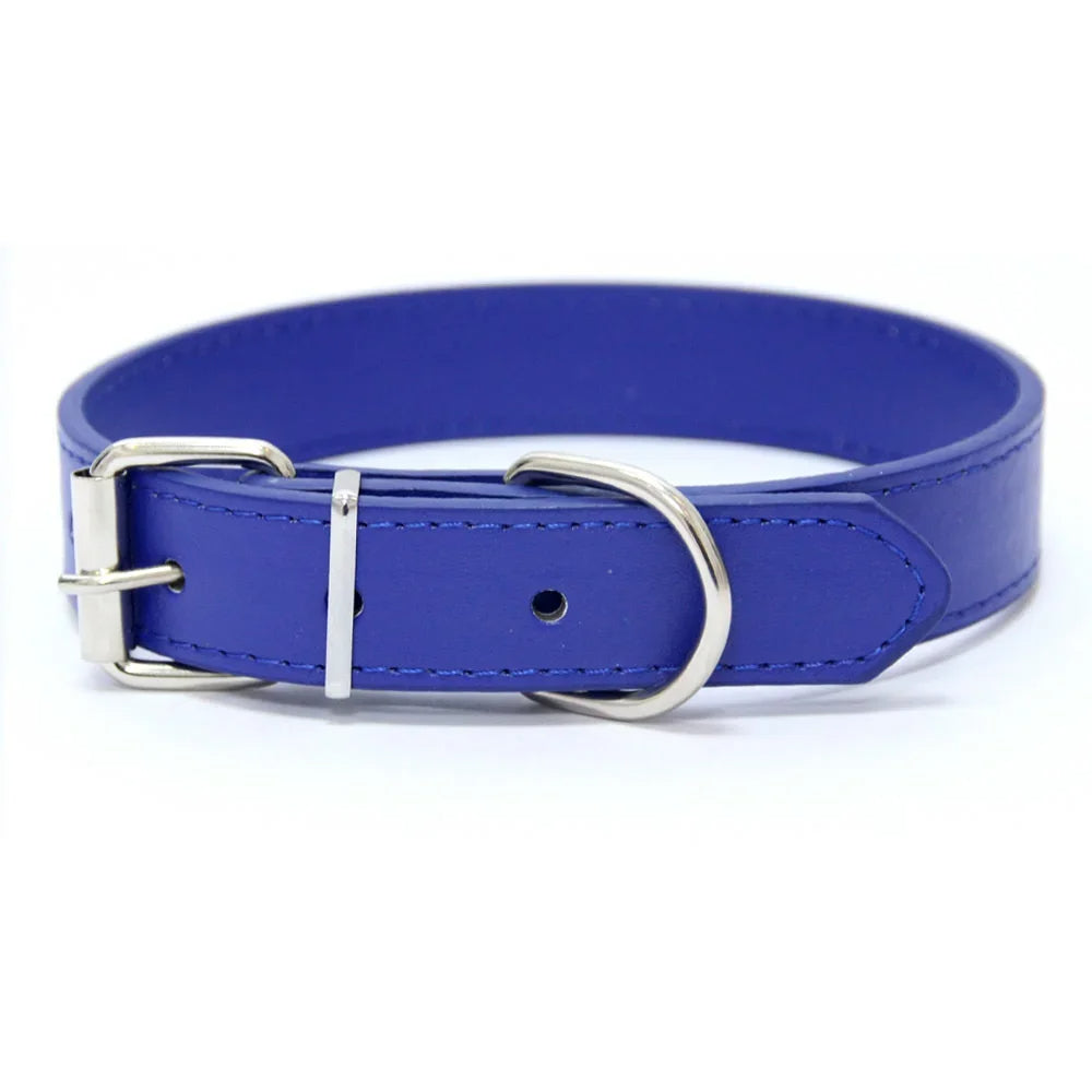 Blue padded leather dog collar, adjustable for a perfect fit, essential dog supply.