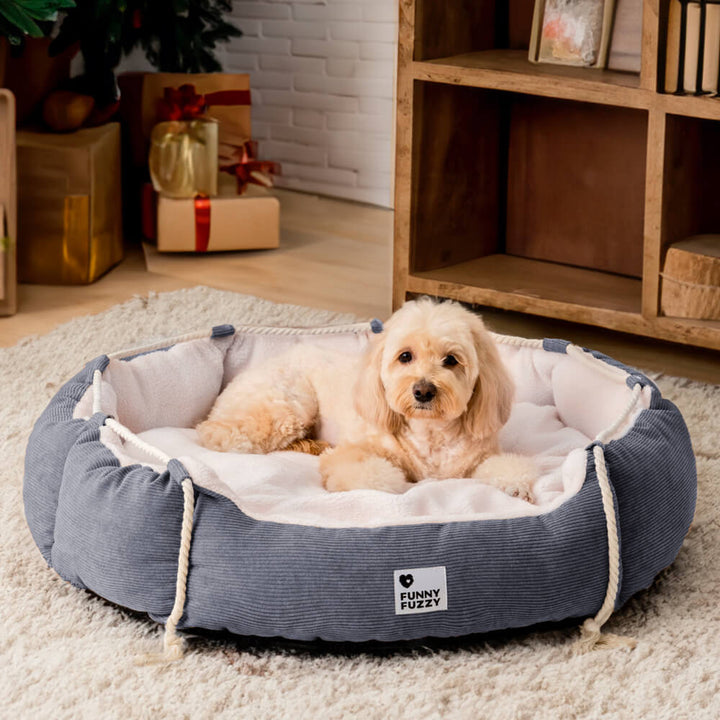 Adjustable pet bed with chew-resistant material, perfect for teething puppies