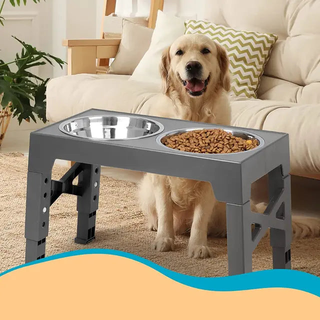 Durable elevated dog feeder with adjustable height feature, promoting hygienic slow feeding for dogs