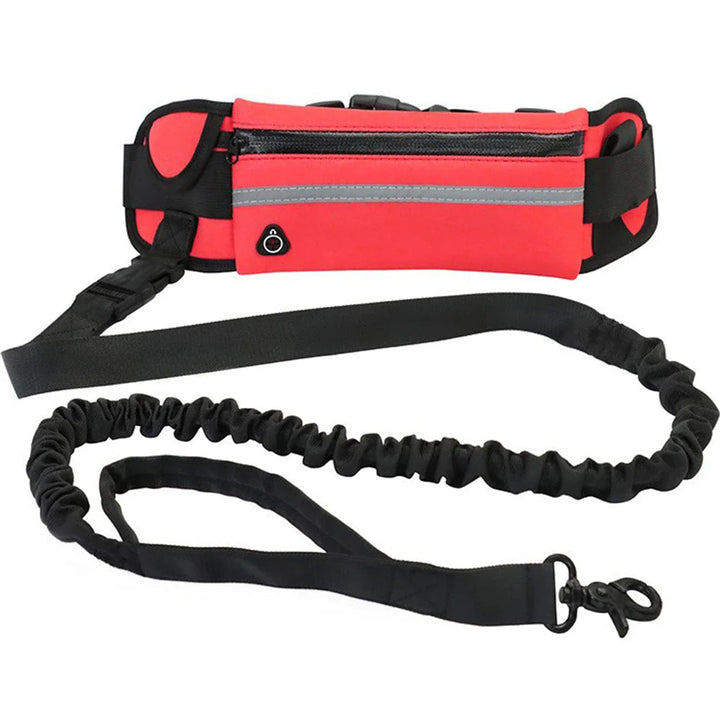 Running dog gear: hands-free leash and hip bag combo in a modern design