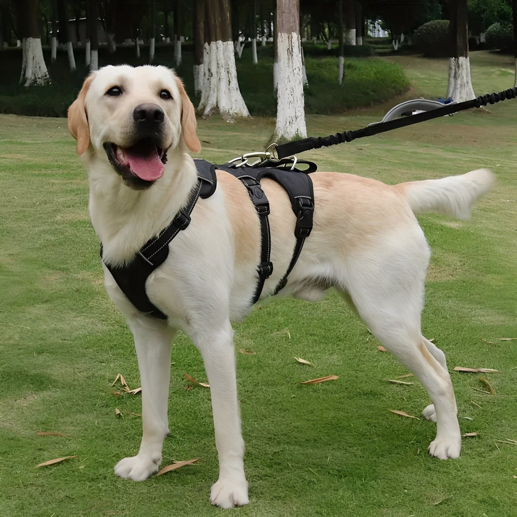 Escape-proof pet harness with reflective strips for nighttime dog walking & enhanced safety.