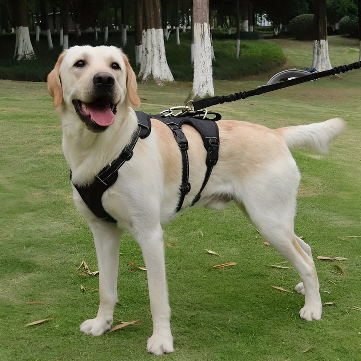 Escape-proof pet harness with reflective strips for nighttime dog walking & enhanced safety.