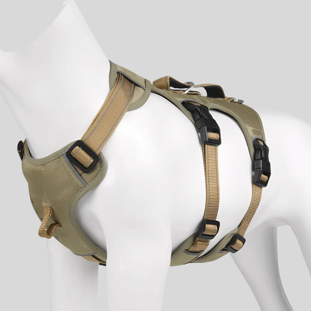 Durable dog walking harness featuring an adjustable design & reflective material for outdoor adventures.