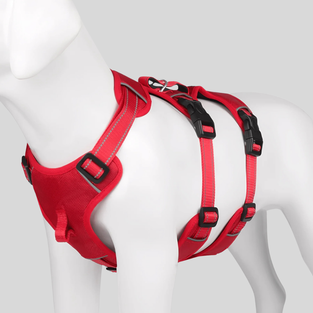 Comfortable adjustable dog harness with reflective elements, perfect for safe pet walking & outdoor control.