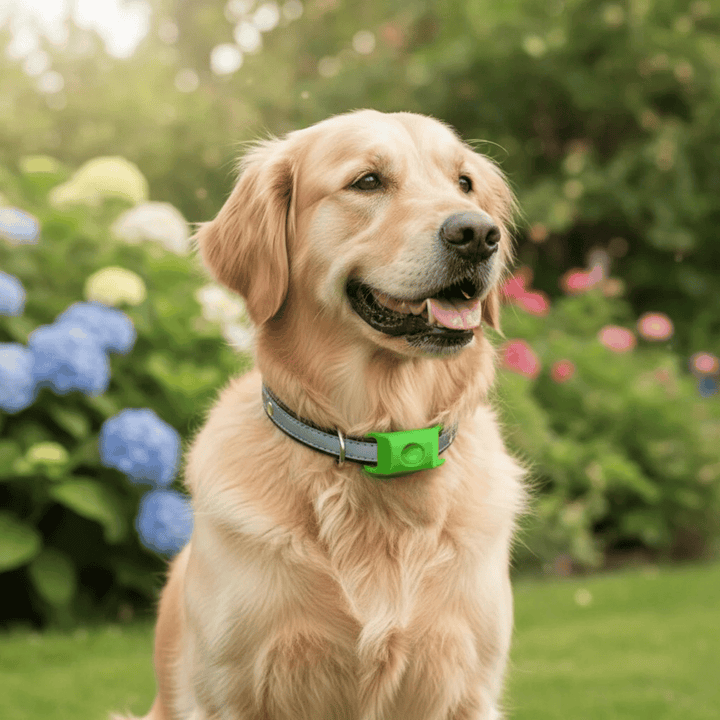 Waterproof pet collar offering flea and tick repellent for dogs and cats. Made from silicone.