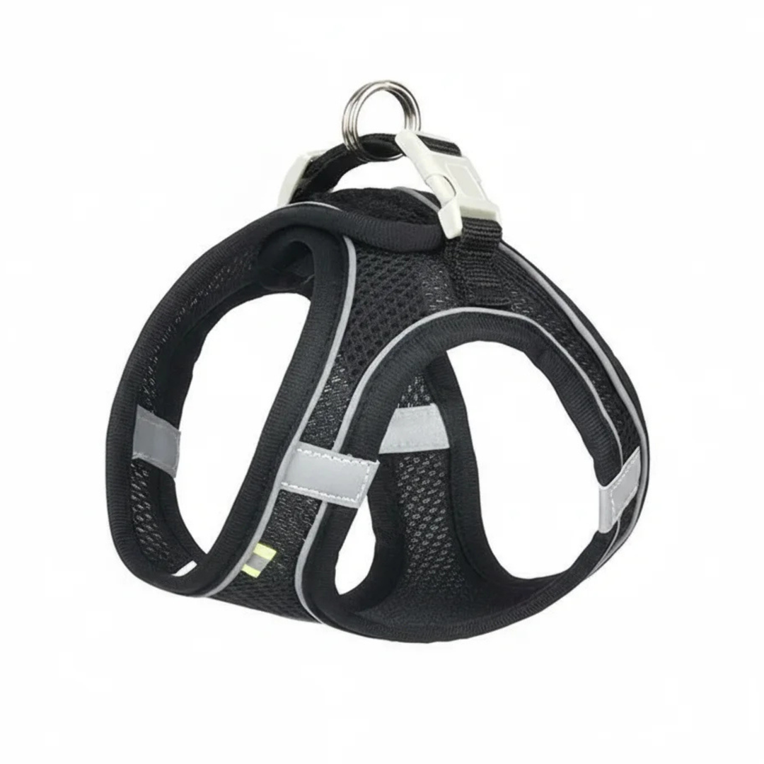 Adjustable teal breathable pet harness for small dogs & cats, front view, reflective strips