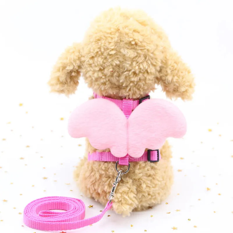Small dog wearing a red pet harness with angel wings, looking happy and ready for a walk.